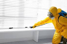 Professional Pest Control in Henagar, AL